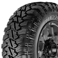 Nexen Roadian MTX33/12.5R22 Tire